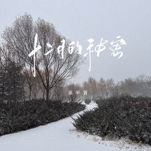 乡村梅姨免费阅读TxT
